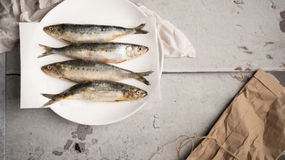 sardine