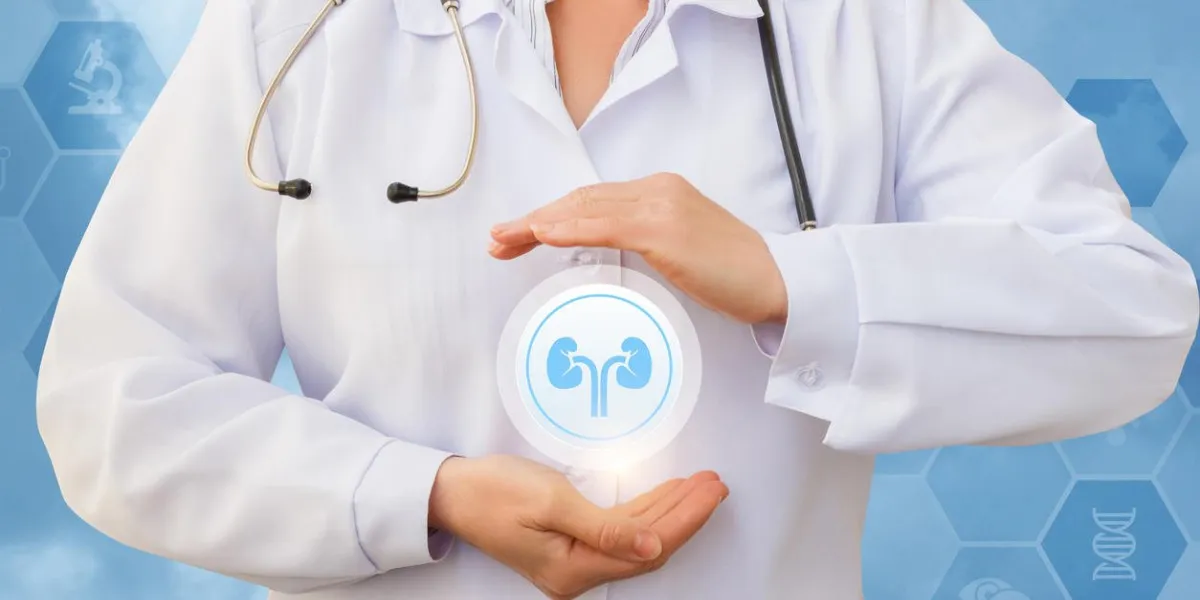 medical worker protects the kidneys on a blue background medical worker protects the kidneys on a blue background