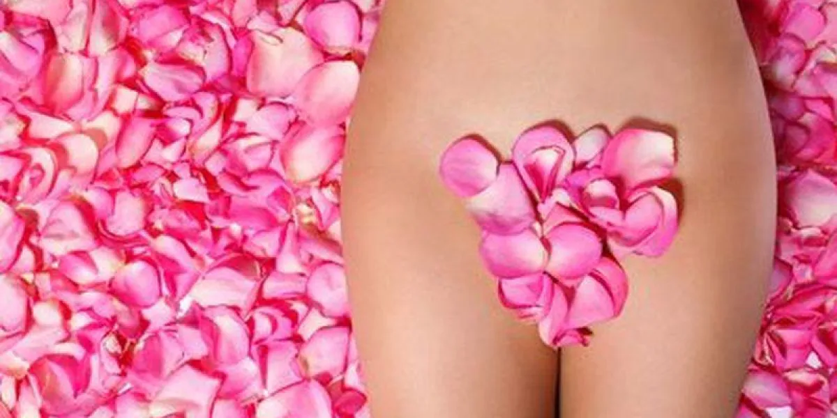 pétales de roses roses sur le concept du corps de la femme de la zone de bikini épilation pétales de roses roses sur le concept du corps de la femme de la zone de bikini épilation
