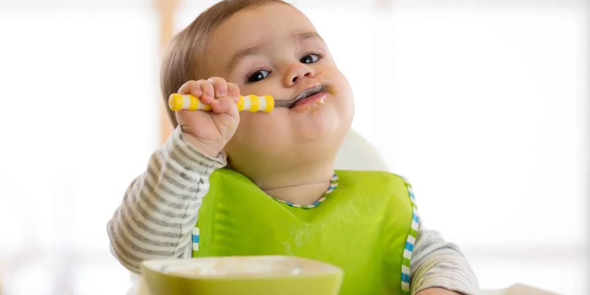 nourrisson nourrisson bébé garçon cuillère se nourrit