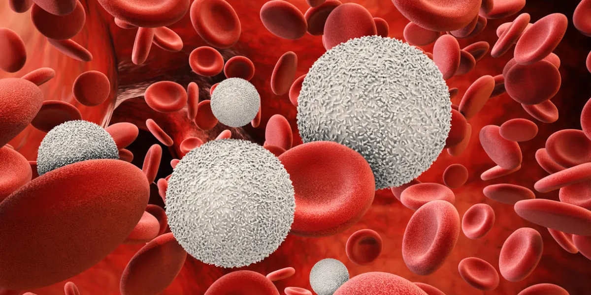 3d rendering white blood cells with red blood cells