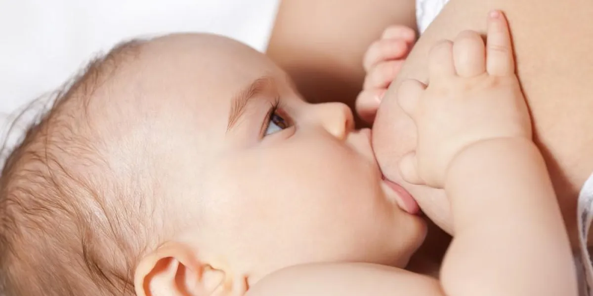 allaitement bébé allaitement bébé