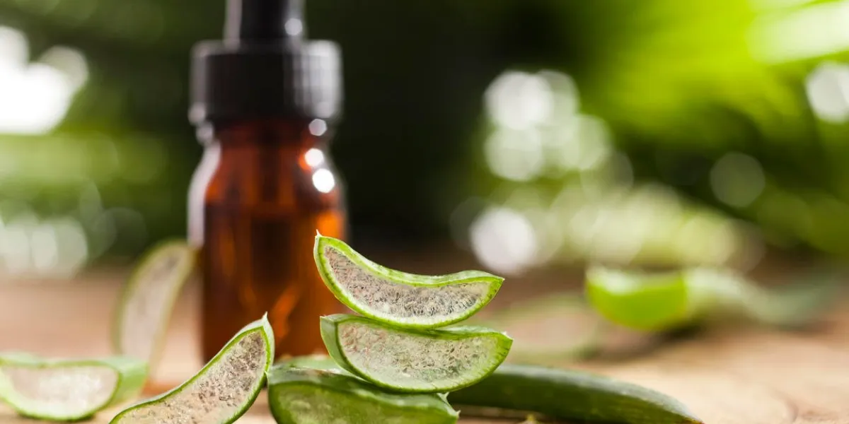 aloe vera essential oil on tropical leaves background