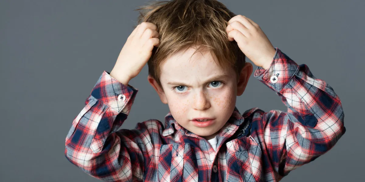 annoyed young boy with freckles scratching his hair for head lice or allergies, grey background studio annoyed young boy with freckles scratching his hair for head lice or allergies, grey background studio