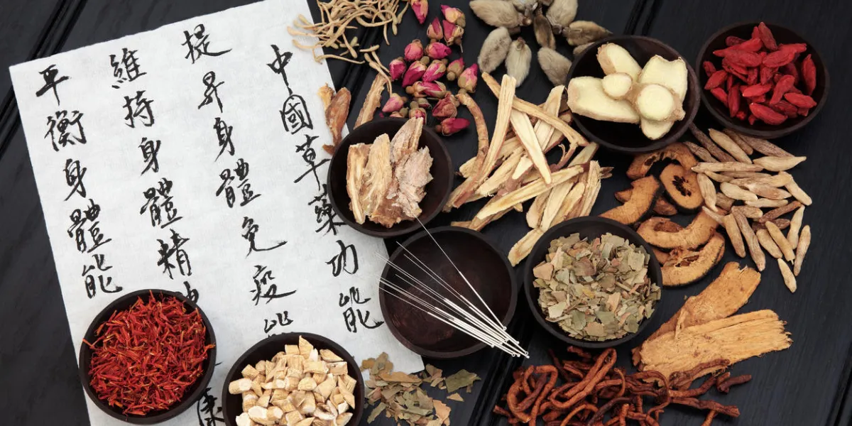 aiguilles d'acupuncture avec sélection de plantes médicinales chinoises et calligraphie mandarine sur papier de riz décrivant les fonctions médicinales pour maintenir la santé du corps et de l'esprit et équilibrer l'énergie corporelle aiguilles d'acupuncture avec sélection de plantes médicinales chinoises et calligraphie mandarine sur papier de riz décrivant les fonctions médicinales pour maintenir la santé du corps et de l'esprit et équilibrer l'énergie corporelle