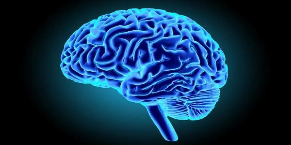 human brain isolated on dark background 3d render human brain isolated on dark background 3d render