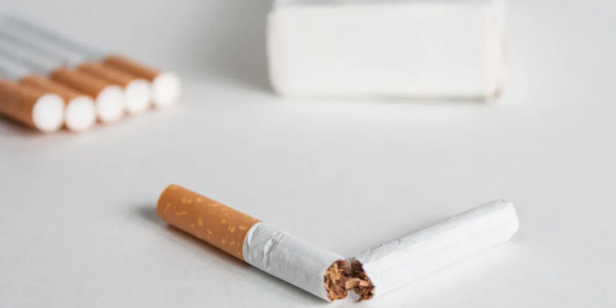 arrière-plan anti-tabac avec des cigarettes cassées arrêter de fumer maintenant arrière-plan anti-tabac avec des cigarettes cassées arrêter de fumer maintenant