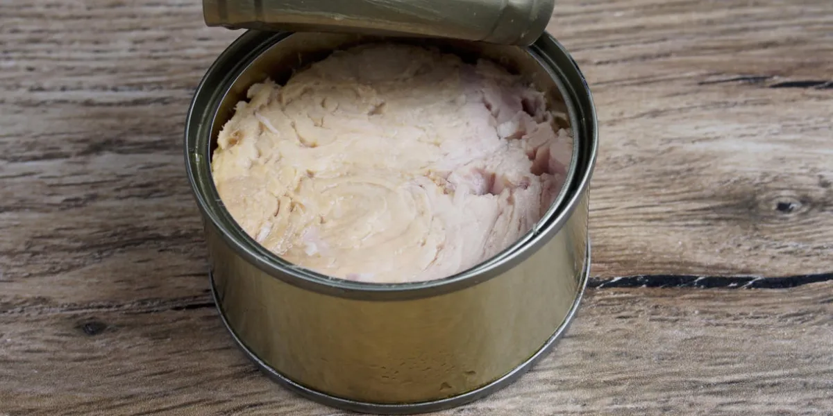 tuna canned on wood background tuna canned on wood background