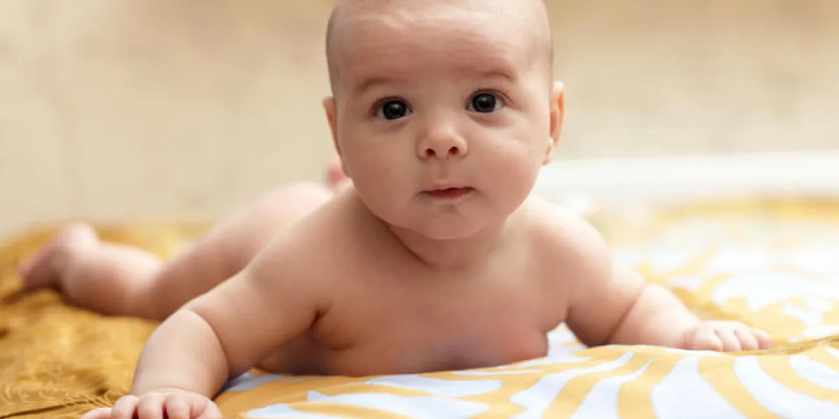 le petit bébé couché sur la feuille le petit bébé couché sur la feuille