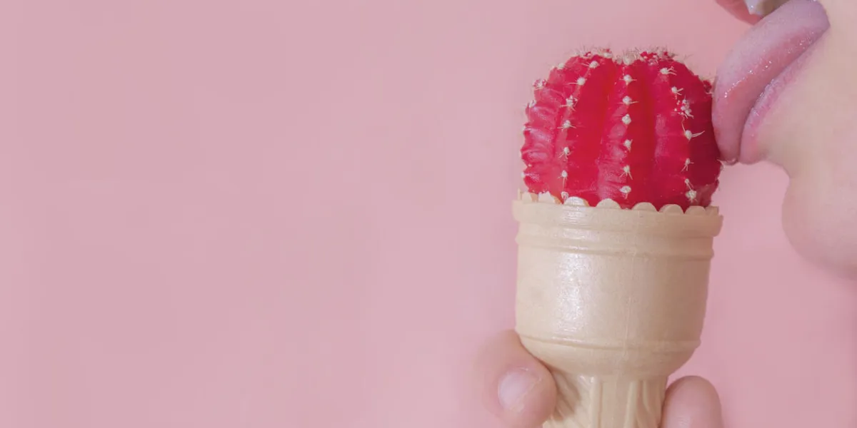 still life licking pink cactus ice cream still life licking pink cactus ice cream