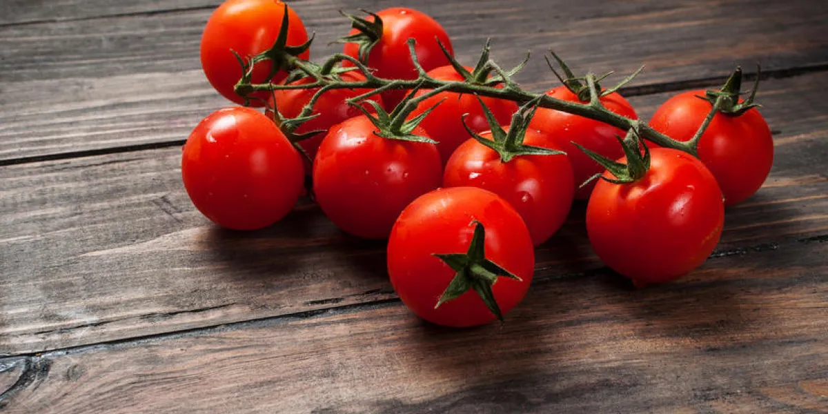 tomates cerises fraîches sur fond de bois aliments biologiques