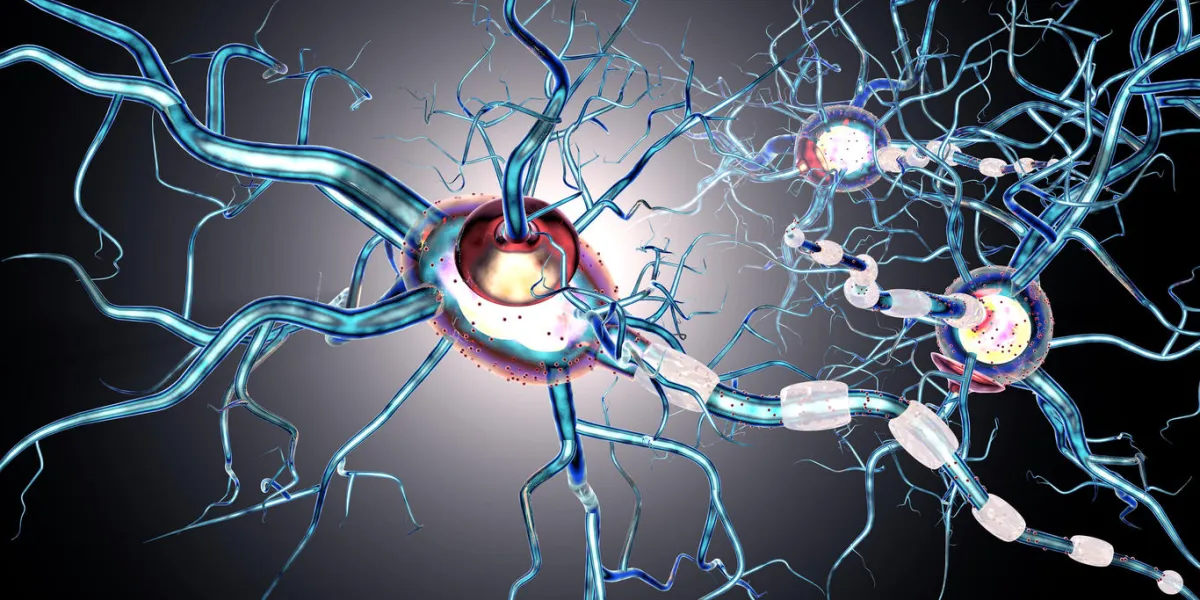 nerve cells, concept for neurodegenerative and neurological disease, tumors, brain surgery 3d rendering nerve cells, concept for neurodegenerative and neurological disease, tumors, brain surgery 3d rendering