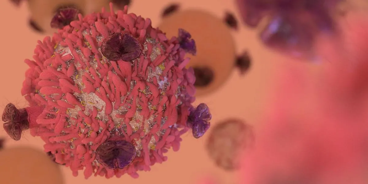 t cell lymphocyte with receptors for cancer cell immunotherapy research 3d render