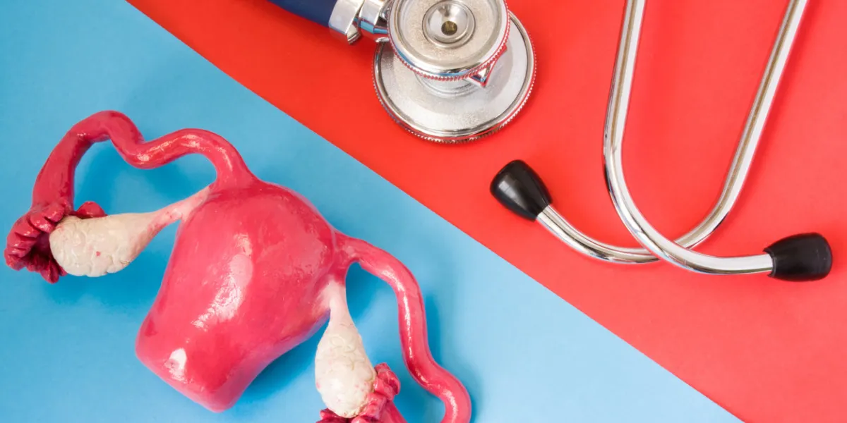 design concept of diagnosis and detecting diseases of female genital organs (uterus, ovaries) stethoscope and model of internal female organs are opposite each other on red and blue background