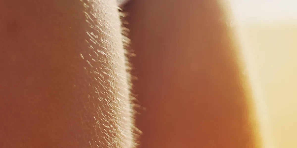 les jambes de la femme avec la chair de poule macro coucher de soleil froid les jambes de la femme avec la chair de poule macro coucher de soleil froid