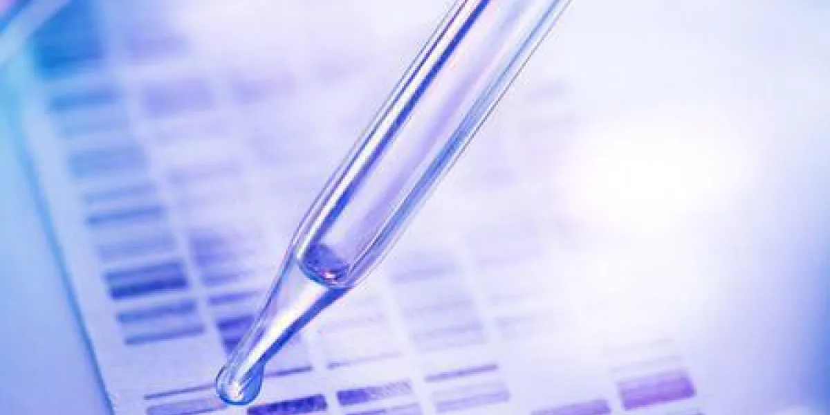 exemple d'adn prélevé à la pipette dans une boîte de pétri avec gel d'adn en arrière-plan