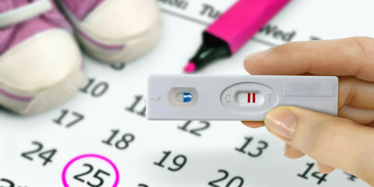 hand holding test kits with a positive pregnancy test result with baby shoe and calender in background hand holding test kits with a positive pregnancy test result with baby shoe and calender in background