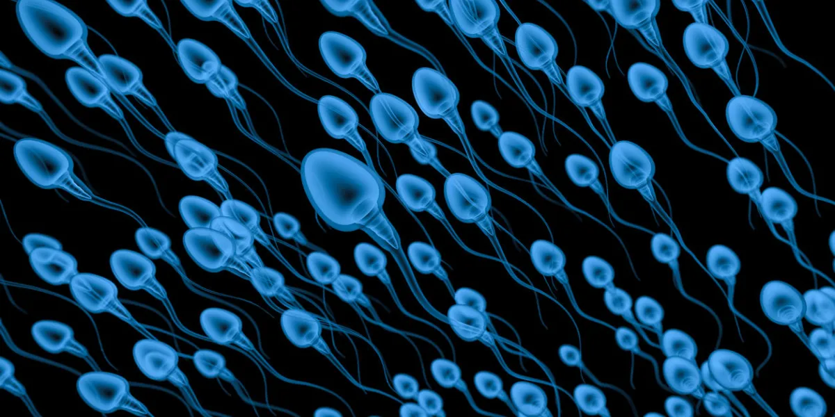 3d rendering x ray group of sperms on black background
