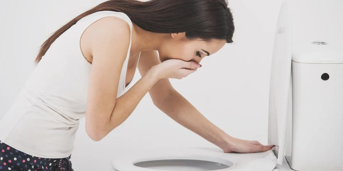 young woman vomiting into the toilet bowl in the early stages of pregnancy or after a night of partying and drinking young woman vomiting into the toilet bowl in the early stages of pregnancy or after a night of partying and drinking