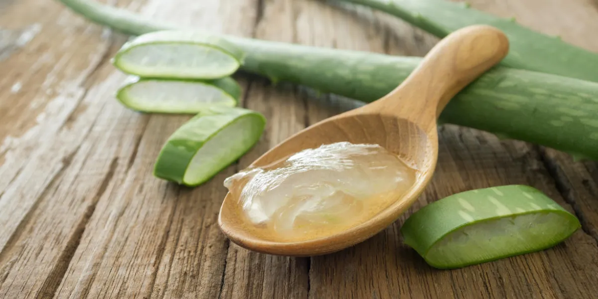 gel d'aloe vera sur une cuillère en bois avec aloe vera sur table en bois