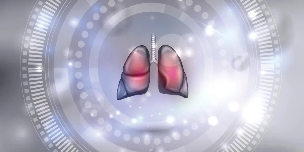 lungs, respiratory organ anatomy illustration on an abstract background lungs, respiratory organ anatomy illustration on an abstract background