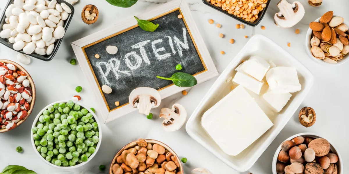 healthy diet vegan food, veggie protein sources  tofu, vegan milk, beans, lentils, nuts, soy milk, spinach and seeds top view on white table