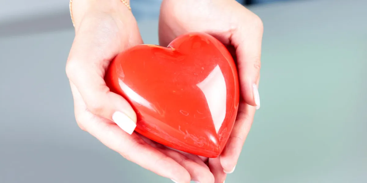 female doctor hold in hands red heart cardio therapeutist, student education, arrhythmia concept