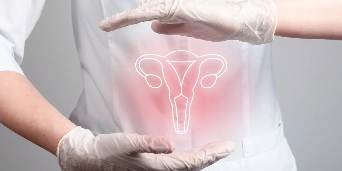 uterus, womb symbol women health and disease concept womb, gynecology problems high quality photo