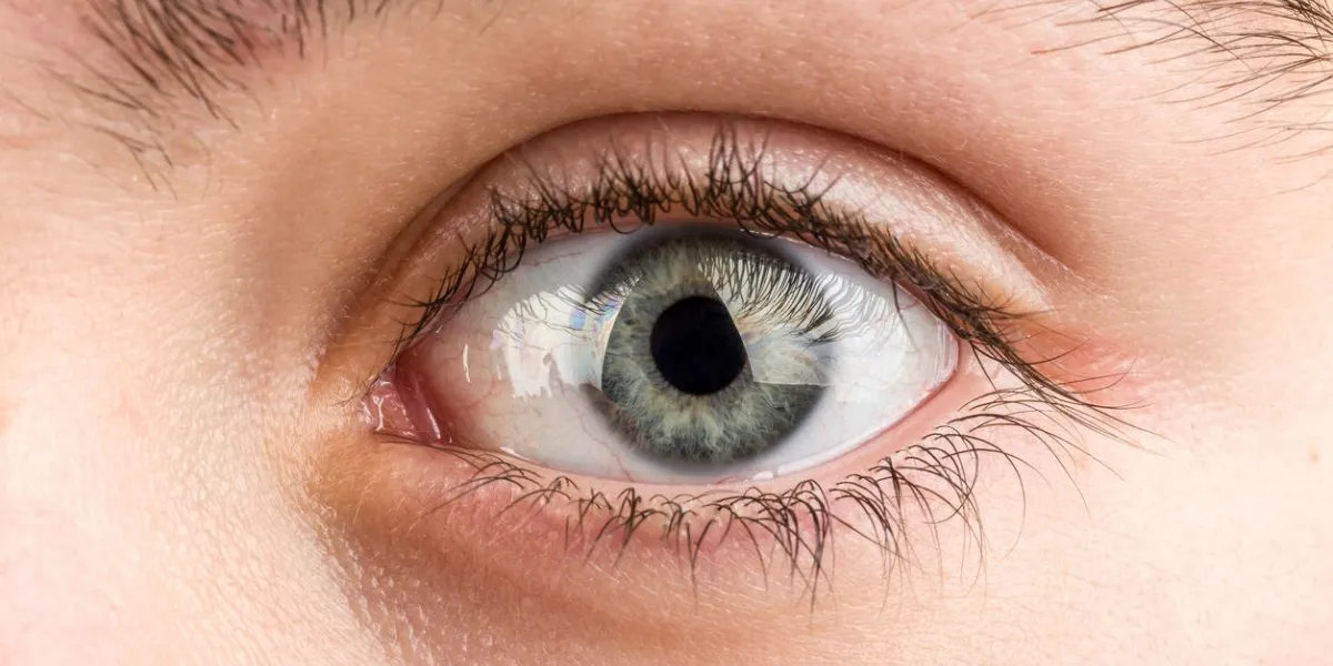 beautiful young teenager health brown eye macro