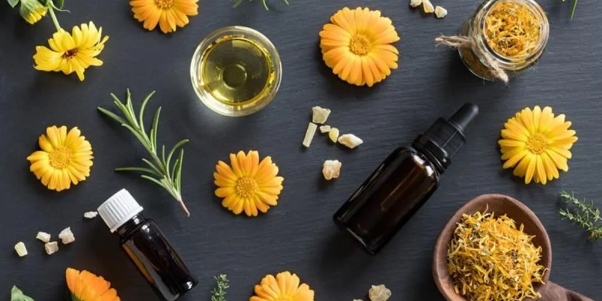two bottles of essential oil, calendula (marigold), thyme, rosemary and frankincense on a dark background, top view