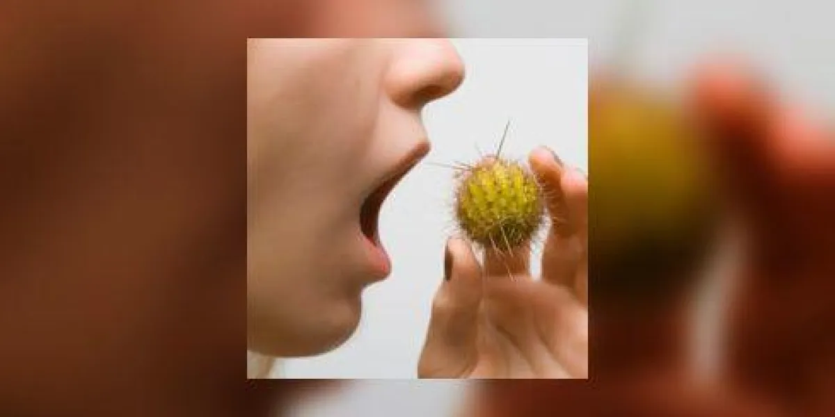 faites attention à ce que vous mangez
