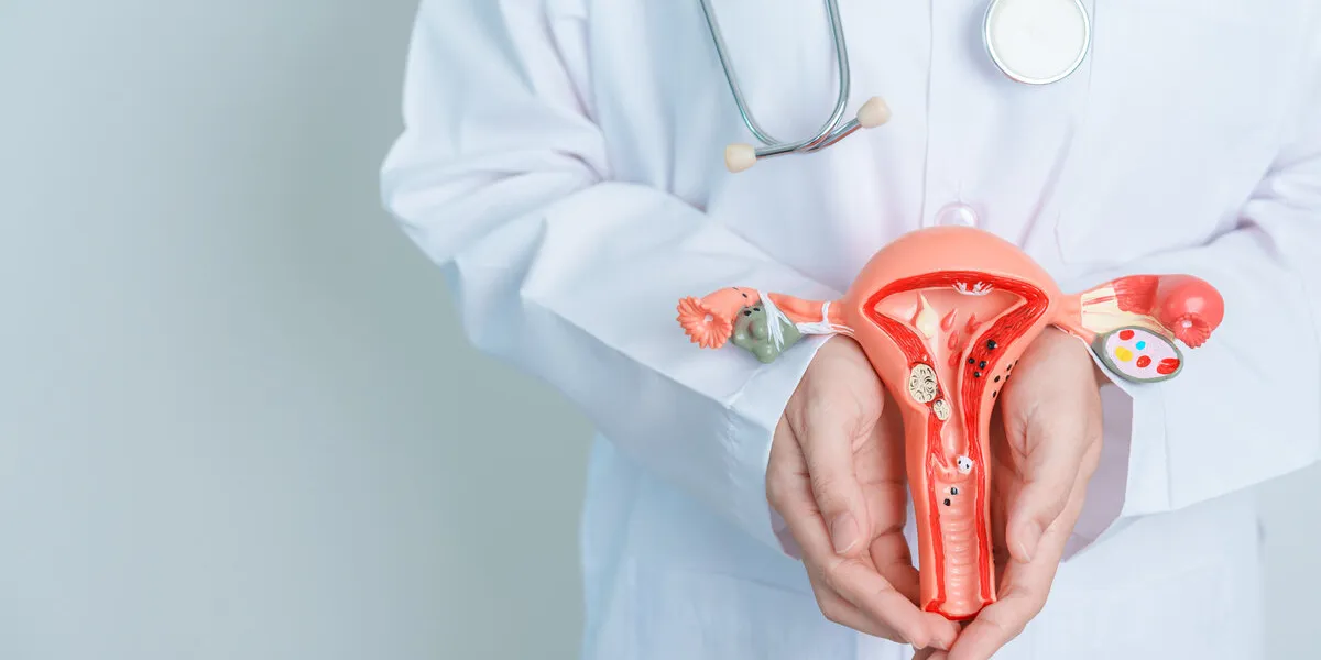 doctor holding uterus and ovaries model ovarian and cervical cancer, cervix disorder, endometriosis, hysterectomy, uterine fibroids, reproductive system and pregnancy concept