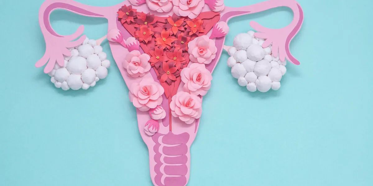 concept polycystic ovary syndrome, pcos paper art, awareness of pcos, image of the female reproductive system, copy space for text concept polycystic ovary syndrome, pcos paper art, awareness of pcos, image of the female reproductive system, copy space for text