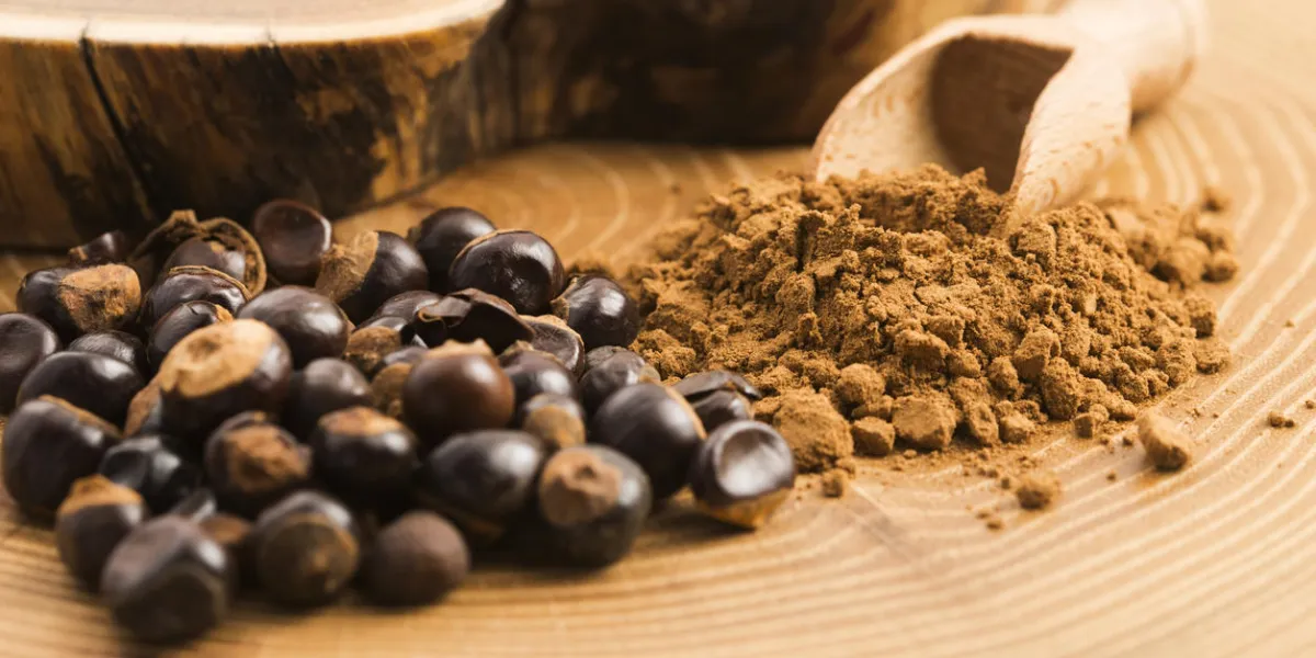 guarana seeds and powder