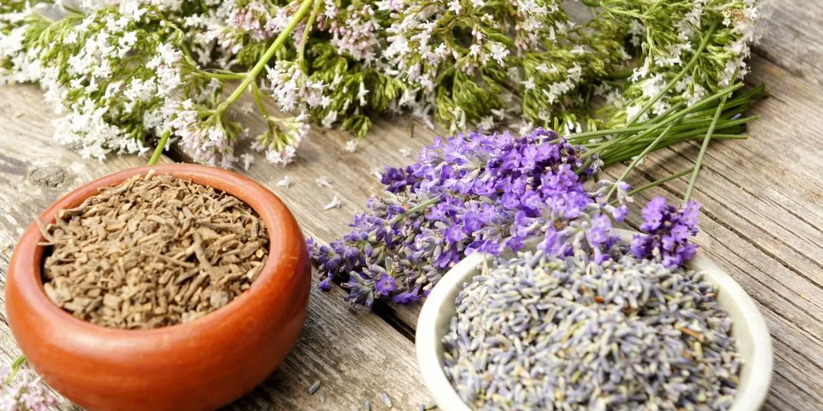 baldrian und lavendel