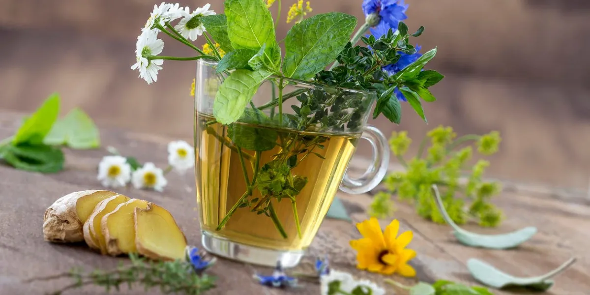 various dried meadow herbs and herbal tea on old wooden table fresh medicinal plants and in bundle preparing medicinal plants for phytotherapy and health promotion