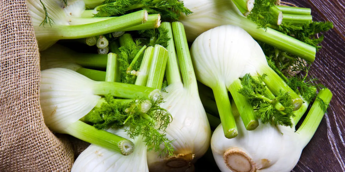 fenouil frais sur fond en bois fenouil frais sur fond en bois