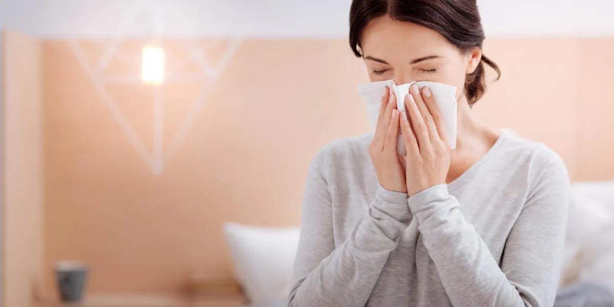 tiresome sneeze ill young woman feeling bad while being at home and constantly sneezing tiresome sneeze ill young woman feeling bad while being at home and constantly sneezing