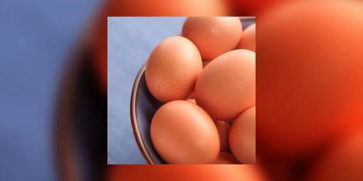 oeufs, 4 23 02, 12 56 pm, 8c, 3750x5000 (0 + 0), 62, pliés 6 arrêts, 1 25 s, r163, g32, b92