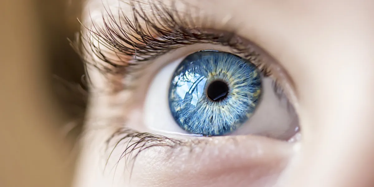 insightful look blue eye boy