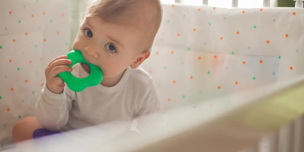 baby boy sitting in the crib and chewing a teething toy baby boy sitting in the crib and chewing a teething toy