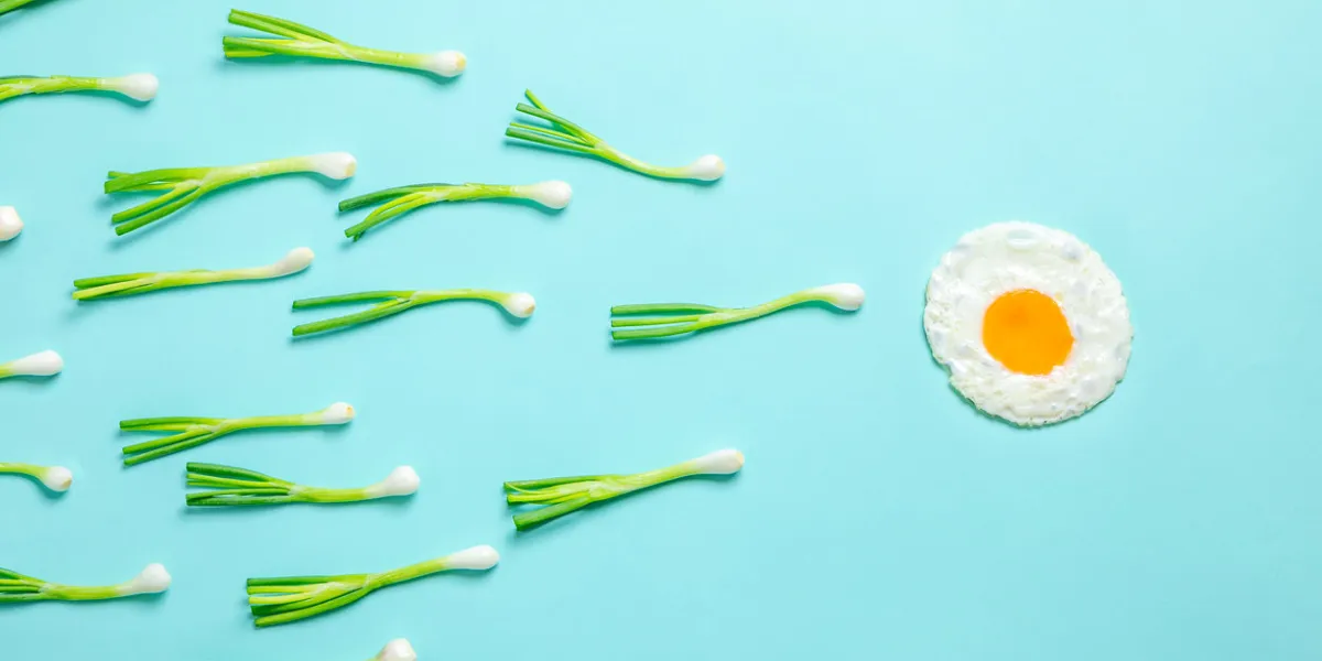 fried egg and scallions, fertilization