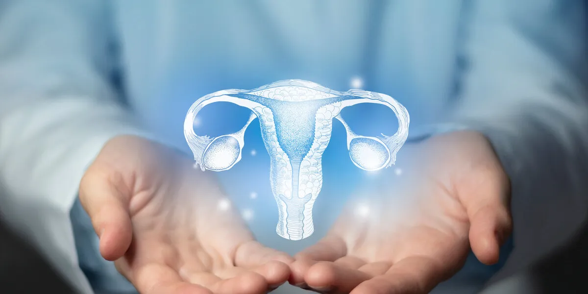 gynecologist doctor, gynecology specialist aesthetic handdrawn highlighted illustration of human uterus neutral grey background, studio photo and collage