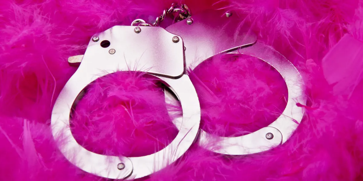 handcuffs on a bed of pink feathers