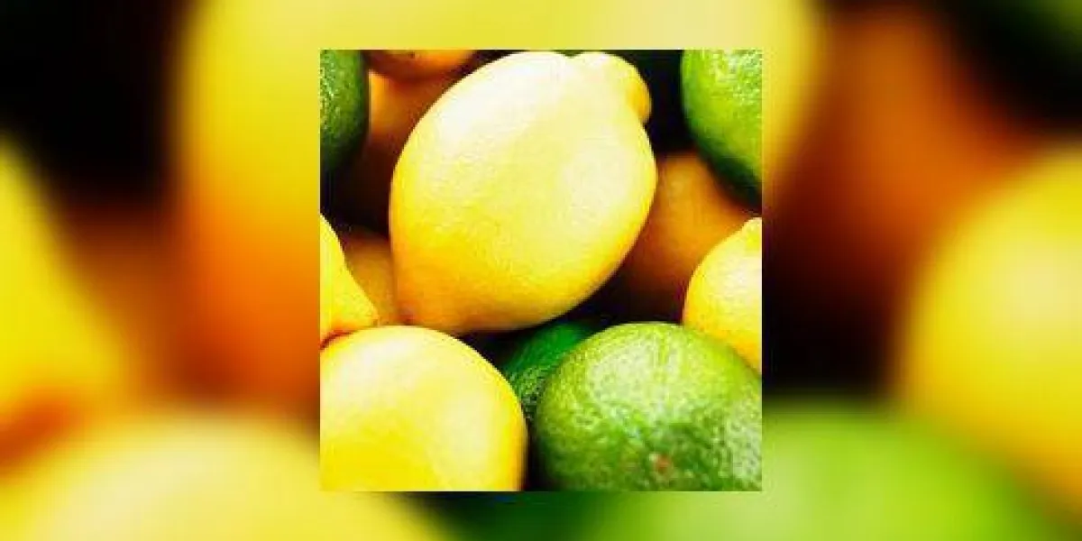 citrons et chaux, 5 22 02, 3 28 pm, 8c, 3750x4780 (0 + 0), 62, pliés 6 arrêts, 1 10 s, r74, g14, b122
