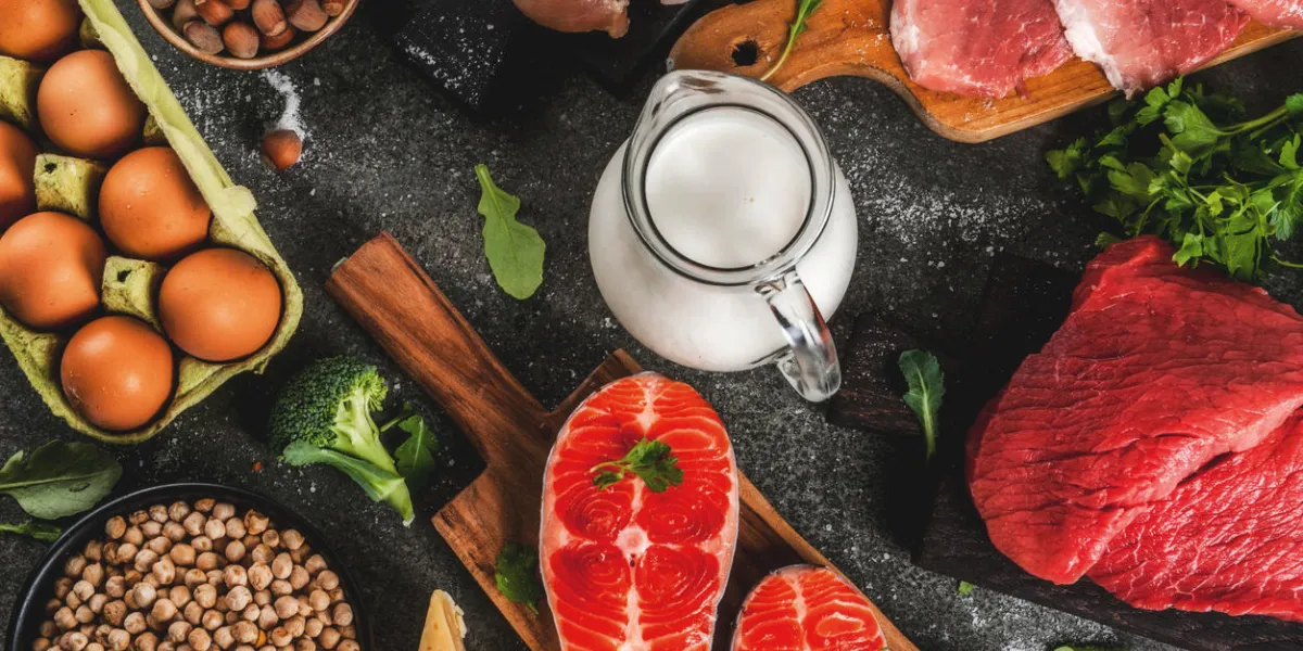 healthy food background selection of protein sources  beef and pork meat, chicken filet, salmon fish, egg, beans, nuts, milk top view copy space, dark background