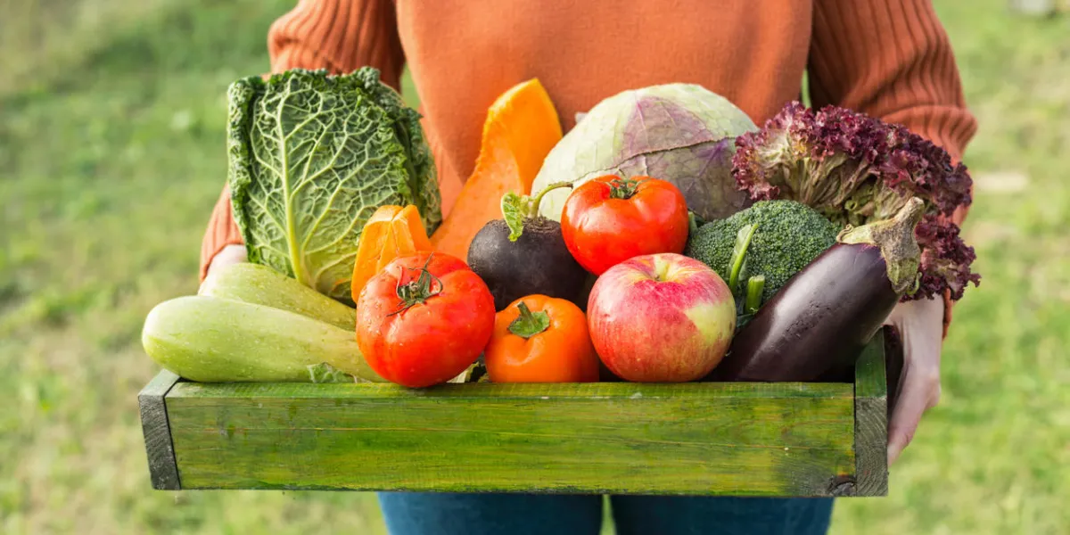 farmer holding box with fresh organic vegetables