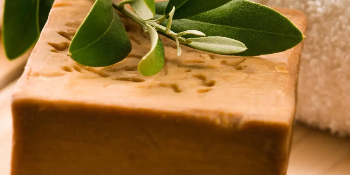 savon d'olive naturel avec branche fraîche savon d'olive naturel avec branche fraîche