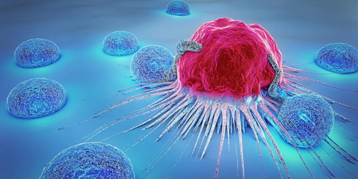 3d illustration of a cancer cell and lymphocytes 3d illustration of a cancer cell and lymphocytes