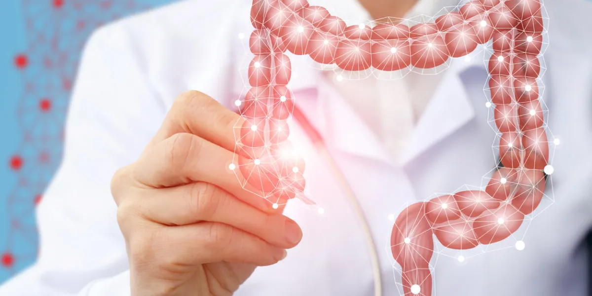 doctor draws the structure of the colon on a virtual screen